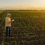 Agenor Vicente Pelissa