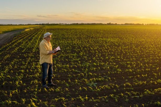 Agenor Vicente Pelissa