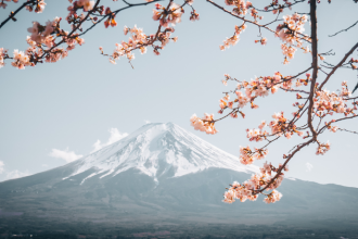 Por que o Japão valoriza tanto disciplina e respeito? Entenda, com Alberto Toshio Murakami, como a cultura japonesa molda comportamentos e valores.