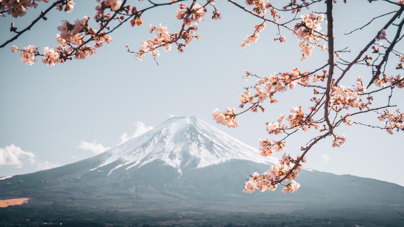 Por que o Japão valoriza tanto disciplina e respeito? Entenda, com Alberto Toshio Murakami, como a cultura japonesa molda comportamentos e valores.