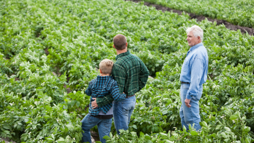 João Eustáquio De Almeida Junior mostra como equilibrar inovação e experiência, unindo tecnologia e tradição na lavoura.