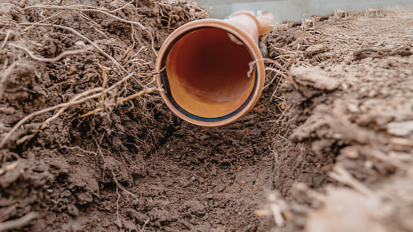 Márcio Velho da Silva