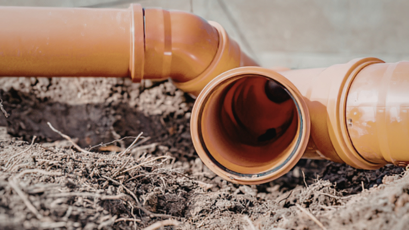 Márcio Velho da Silva