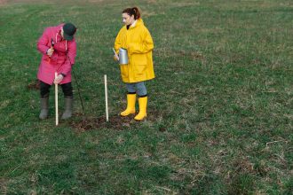 Dois voluntários plantam árvores em um campo gramado, usando capas de chuva coloridas e botas.