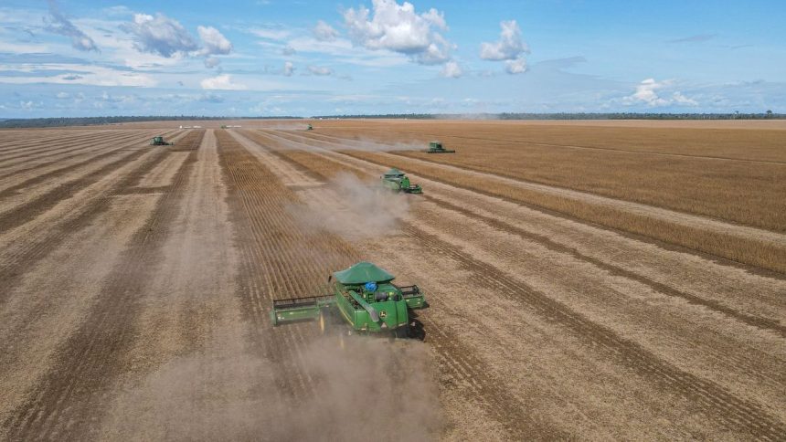 Colheitadeiras trabalham em uma plantação de soja em uma fazenda de Paragominas, no Brasil.