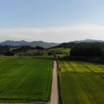Vista aérea de campos agrícolas verdes e uma estrada de terra em Massaranduba, Santa Catarina.